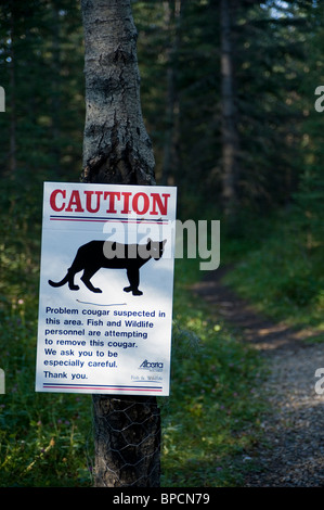 Un segno su un sentiero escursionistico escursionisti di avvertimento di un selvaggio cougar nella zona Foto Stock