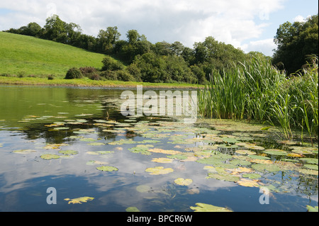 Vista sul fiume Erne in Co. Cavan, Irlanda Foto Stock