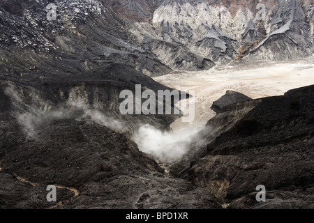 Ancora fumo che esce dal cratere Ratu a Mt. Tangkuban Perahu vicino a Bandung, Indonesia. Foto Stock