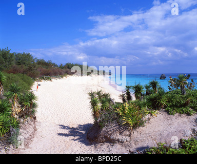 Warwick Long Bay, South Shore, Warwick Parish, Bermuda Foto Stock