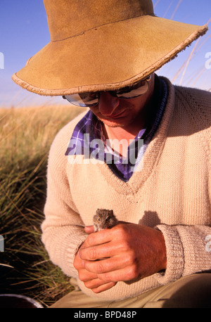 Il campo di registrazione del lavoratore fauna nativa, Australia Foto Stock