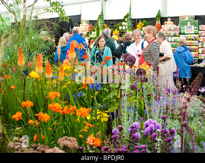 Ai visitatori di ammirare un giardino display a Shrewsbury Flower Show 2010, Shropshire, Regno Unito Foto Stock