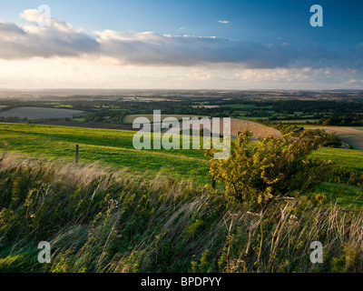 Vista sulla valle di Kennett da Inkpen Hill Berkshire REGNO UNITO Foto Stock