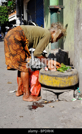 Anziani donna locale di scavenging del cibo nel cestino della spazzatura in una strada di Kuta Bali Foto Stock