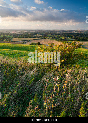 Vista sulla valle di Kennett da Inkpen Hill Berkshire REGNO UNITO Foto Stock