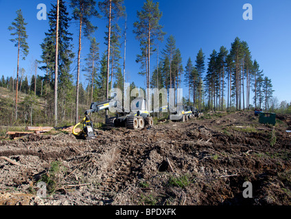 Ponsse Buffalo spedizioniere e Beaver Trincia forestale presso clear-area di taglio , Finlandia Foto Stock