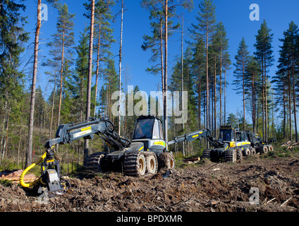 Ponsse Buffalo spedizioniere e Beaver Trincia forestale presso clear-area di taglio , Finlandia Foto Stock