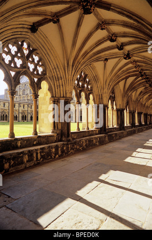 UK,Inghilterra, Norfolk, Norwich Cathedral, costruito principalmente 1096-1145, sia la sede di un vescovo e un priorato benedettino: chiostro Foto Stock