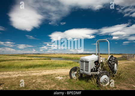 Vecchio trattore su paludi Elmley Riserva Naturale, Isle of Sheppey, Kent, Regno Unito Foto Stock