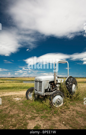 Vecchio trattore su paludi Elmley Riserva Naturale, Isle of Sheppey, Kent, Regno Unito Foto Stock