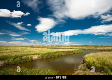 Insenature di paludi Elmley riserva naturale sull'Isle of Sheppey, Kent, Regno Unito Foto Stock