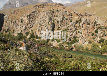 Foresta di palme, Preveli Beach, Prefettura di Rethimno, Creta, Grecia Foto Stock