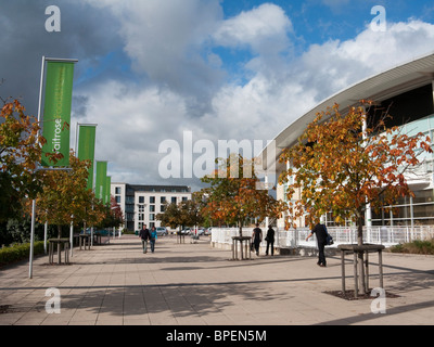 Waitrose supermarket a Cheltenham, Inghilterra. Foto Stock