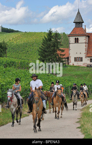 Cavalieri montati attraverso i vigneti vicino a Saint-Sébastien cappella a Dambach-la-Ville, Vosges, l'Alsazia, Francia Foto Stock