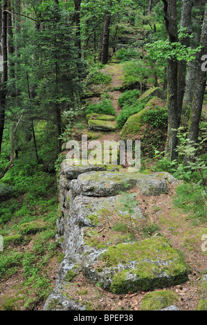 La parete pagana / Mur Païen nella foresta vicino a Mont Sainte-Odile, Vosges, l'Alsazia, Francia Foto Stock