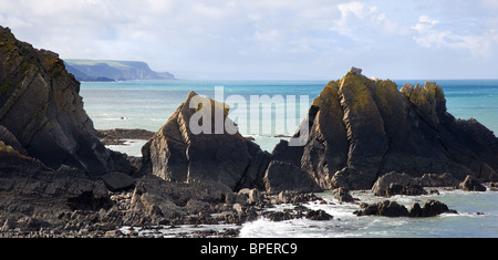 Vista del Devon Coast guardando verso sud da Hartland Quay attraverso le rocce del punto Screda Foto Stock