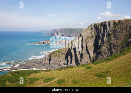 Scogliere vicino Cornakey Cliff Morwenstow Cornovaglia sulla costa sud-ovest il percorso guardando verso Hartland Quay Foto Stock