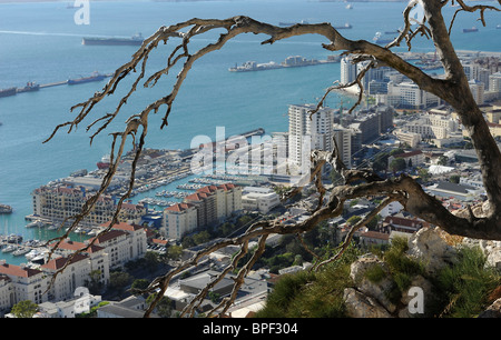 Hafen von Gibilterra, porto di Gibilterra, Habor di Gibilterra Foto Stock