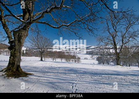 I Giardini del Castello di Craigevar nelle vicinanze Alford, Aberdeenshire, Grampian regione. Scozia.SCO 6416 Foto Stock