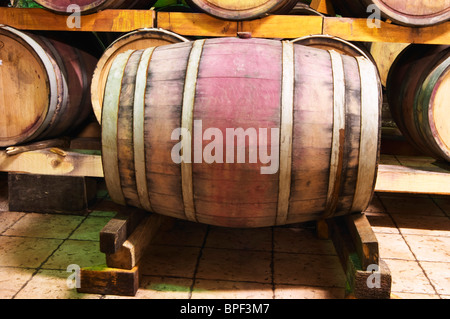 La cantina sotterranea con vecchie botti di rovere per la conservazione del vino. VitaI Vitaai Vitai Gangas Cantina Citluk vicino a Mostar. Foto Stock