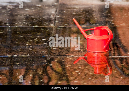 Rosso brillante annaffiatoio sat in acqua che mostra la propria riflessione. Foto Stock