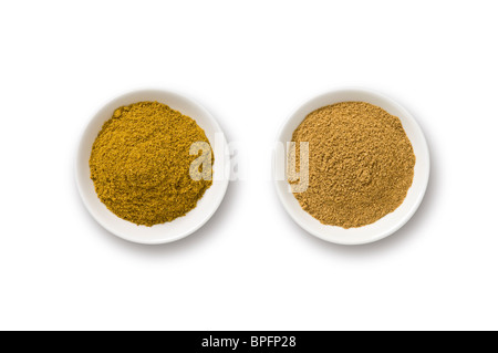 Madras curry e coriandolo in polvere. Foto Stock