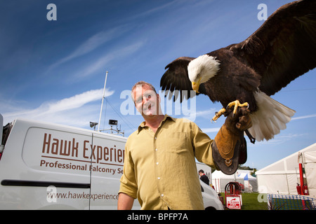 Regno Unito, Inghilterra, Merseyside Southport Flower Show, Chris O'Donnell, Falco di esperienza, con aquila calva su braccio Foto Stock