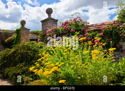 Piante erbacee perenni confine di fiori d'estate in una cinta muraria English country garden in Berkshire, Inghilterra, Regno Unito Foto Stock