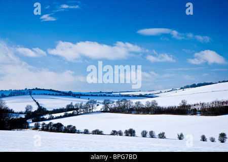 Un soleggiato,nevoso inverno,vista orizzontale o di scena sul Downs nel Wiltshire, Inghilterra, Regno Unito Foto Stock