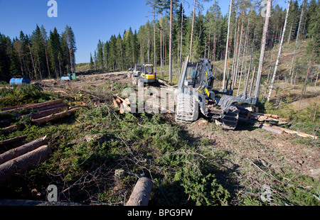 Ponsse Buffalo spedizioniere e Beaver forest harvester a Cancella area di taglio , contenente principalmente pini e abeti rossi , Finlandia Foto Stock