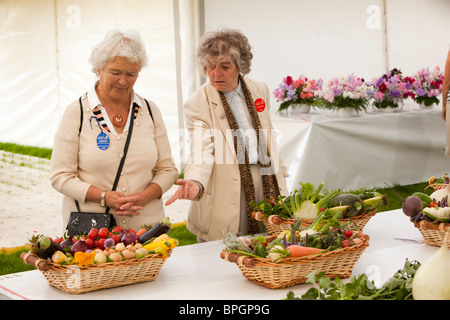 Regno Unito, Inghilterra, Merseyside Southport Flower Show, espositore sottolineando cestini di verdure miste ad un amico Foto Stock