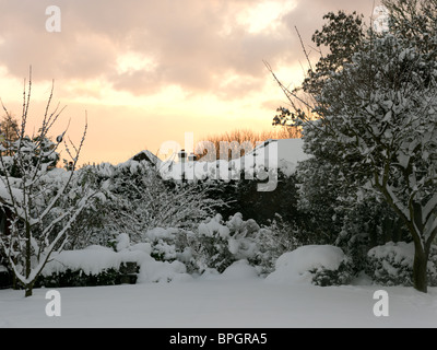 Surrey in Inghilterra neve spessa in giardino al tramonto Foto Stock