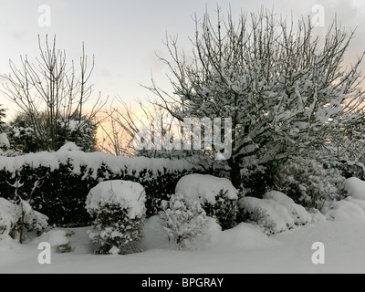 Surrey in Inghilterra neve spessa in giardino al tramonto Foto Stock