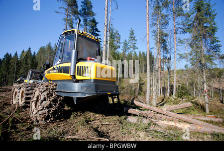 Ponsse Beaver forest harvester a chiara-sito di taglio , Finlandia Foto Stock