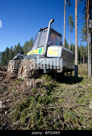 Ponsse Beaver forest harvester a chiara-sito di taglio , Finlandia Foto Stock