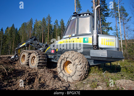 Ponsse Beaver forest harvester a chiara-sito di taglio , Finlandia Foto Stock