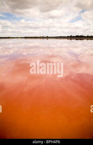 La notevole Salt Lake, Lago Rosa, non lontano da Dimboola, Australia. Foto Stock