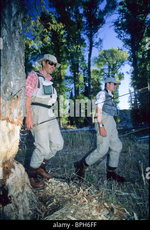 Due pescatori a piedi mediante una struttura ad albero mangiato da beaver. Foto Stock