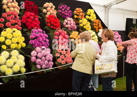 Regno Unito, Inghilterra, Merseyside Southport Flower Show, Grand Marquee floreali, crisantemo colorato display Foto Stock