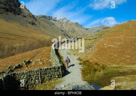 L'Agriturismo via in Mosedale, vicino a testa Wasdale, Lake District, Cumbria, England, Regno Unito Foto Stock