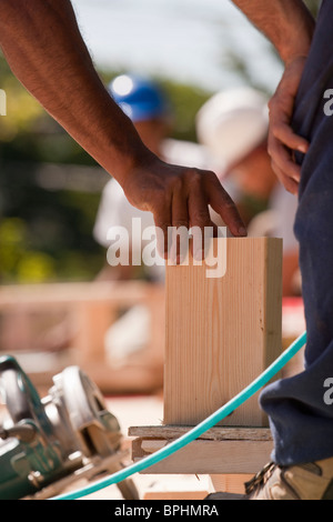 I falegnami di posizionamento del rivestimento in legno in corrispondenza di un sito in costruzione Foto Stock
