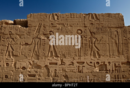 Di rilievo nel Tempio di Karnak complessa, Luxor, Tebe, l'Egitto, in Arabia, in Africa Foto Stock