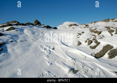 Paesaggio invernale nel distretto del Lago Foto Stock