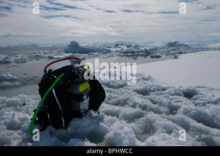 Molla di bordo floe diving in Lancaster Suono, stagno, ingresso, Isola Baffin, Nunavut, Canada Foto Stock