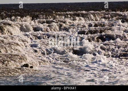 Montgomery Reef Collier Bay regione di Kimberley Australia Occidentale Foto Stock