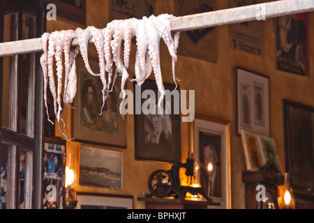 Varie il polpo su un bastone per asciugare davanti a ristoranti a Rethymno in Creta, Grecia Foto Stock