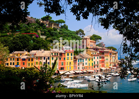 Barche ormeggiate nel piccolo porto di Portofino Liguria Italia Foto Stock