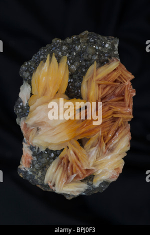 La barite su Cerrusite - Marocco - Barite (arancione) è il principale minerale di bario (solfato di bario) - classe di minerali: solfati cerrusite Foto Stock