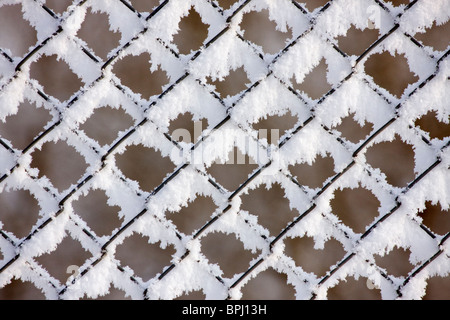 La brina e il ghiaccio su un recinto di filo d'inverno. Foto Stock