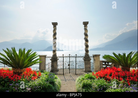 Giardino botanico, Villa Monastero, Varenna, Lago di Como, Lombardia, Italia Foto Stock